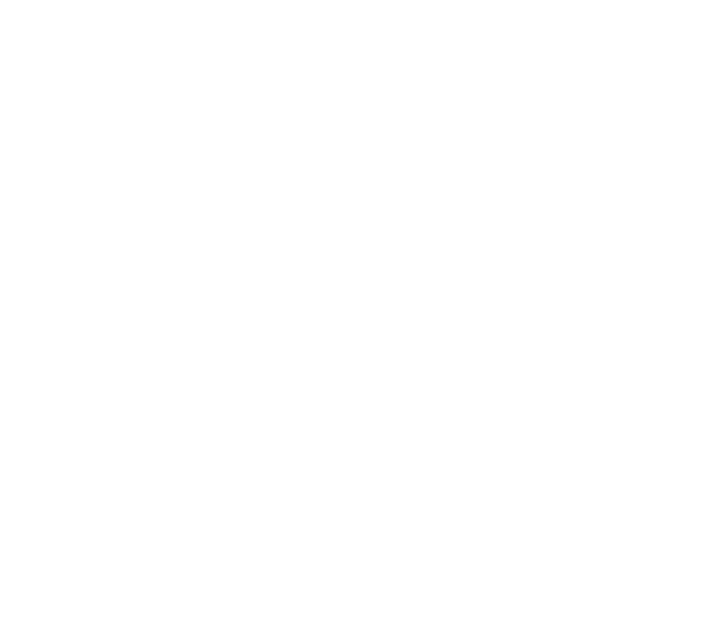 Wiser Esports